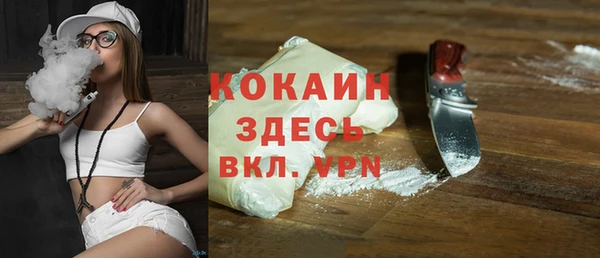 метадон Алексин