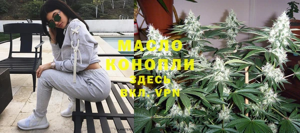 метадон Алексин